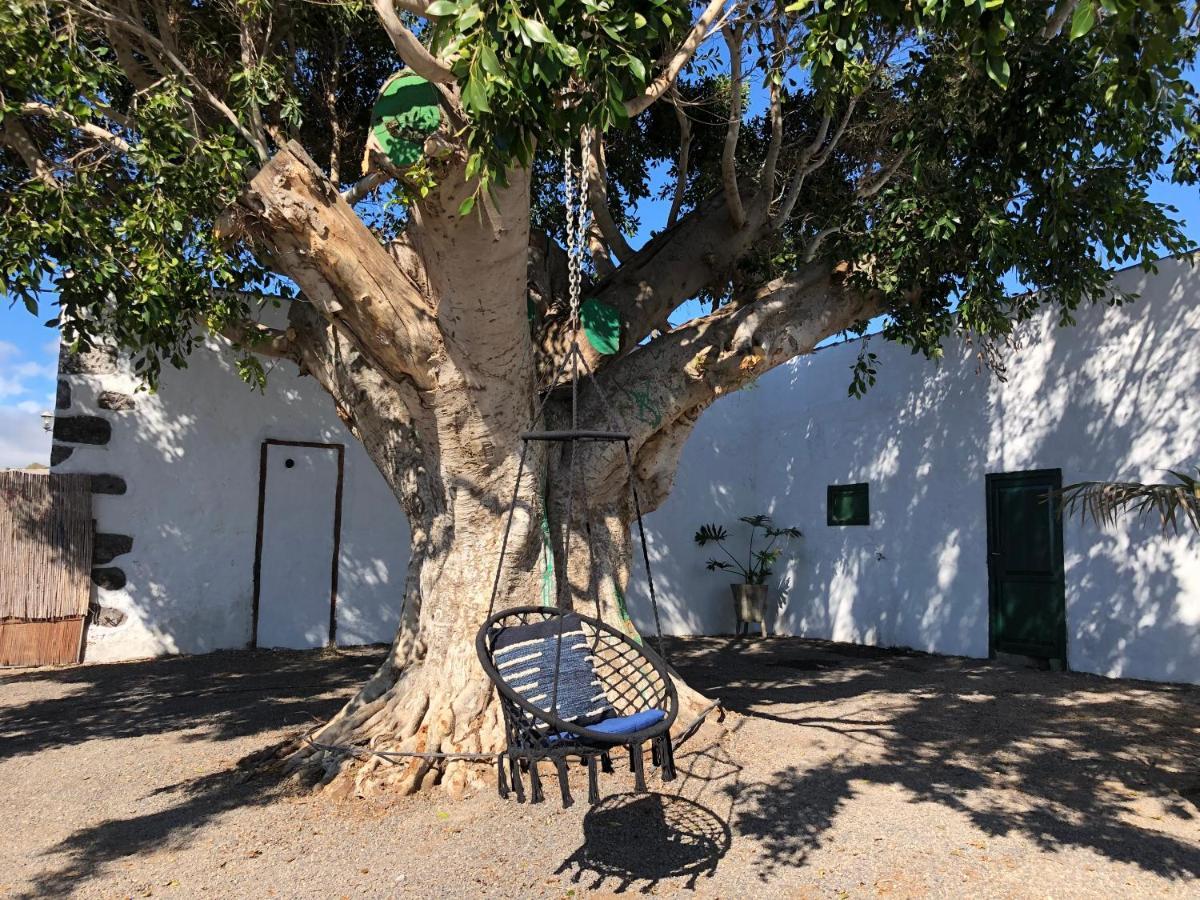 Finca Los Llanitos Guia de Isora  Bagian luar foto