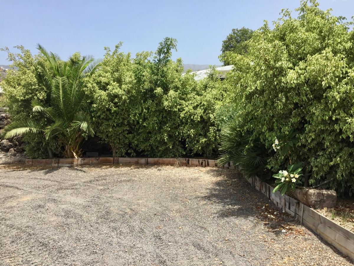 Finca Los Llanitos Guia de Isora  Bagian luar foto